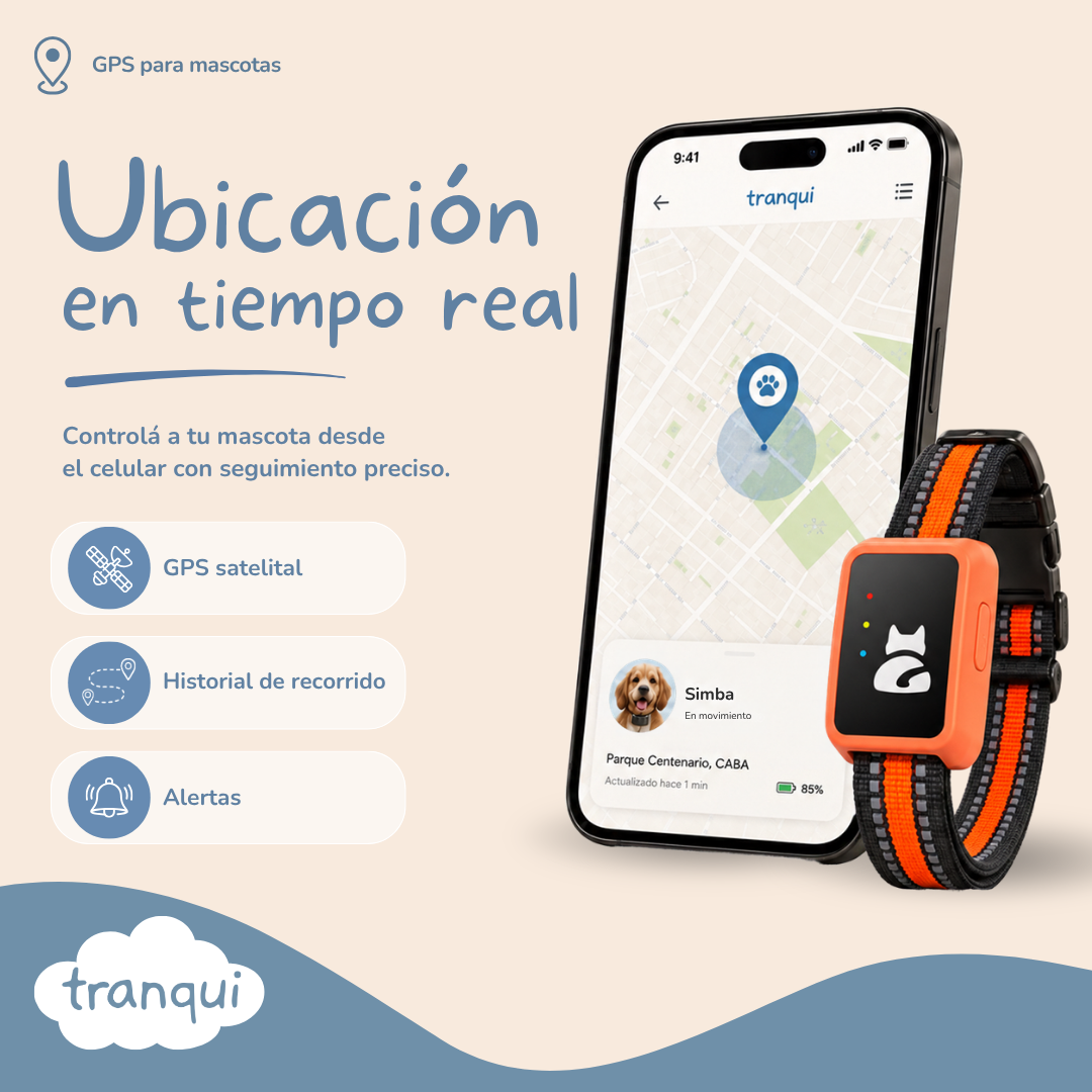 GPS satelital