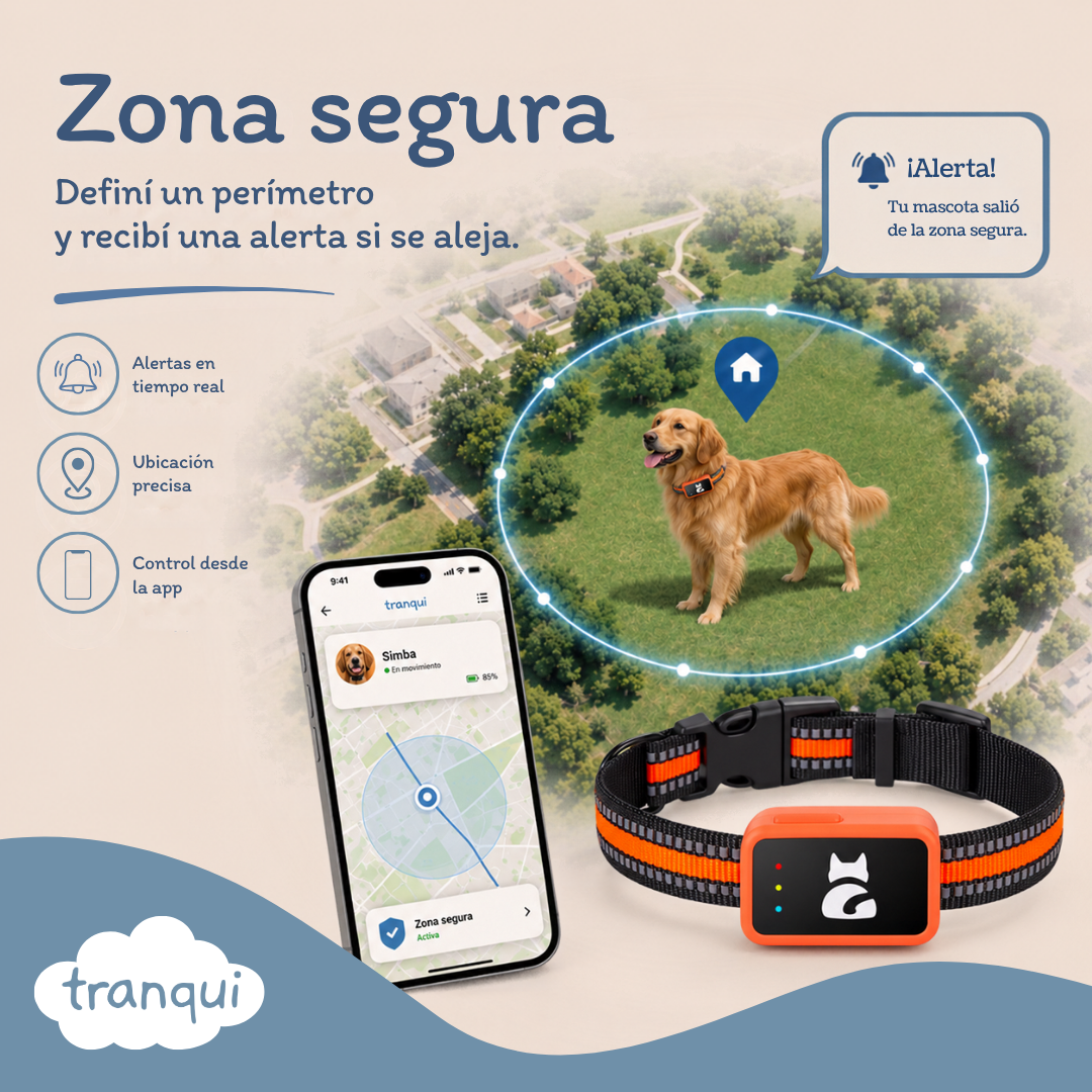 GPS satelital