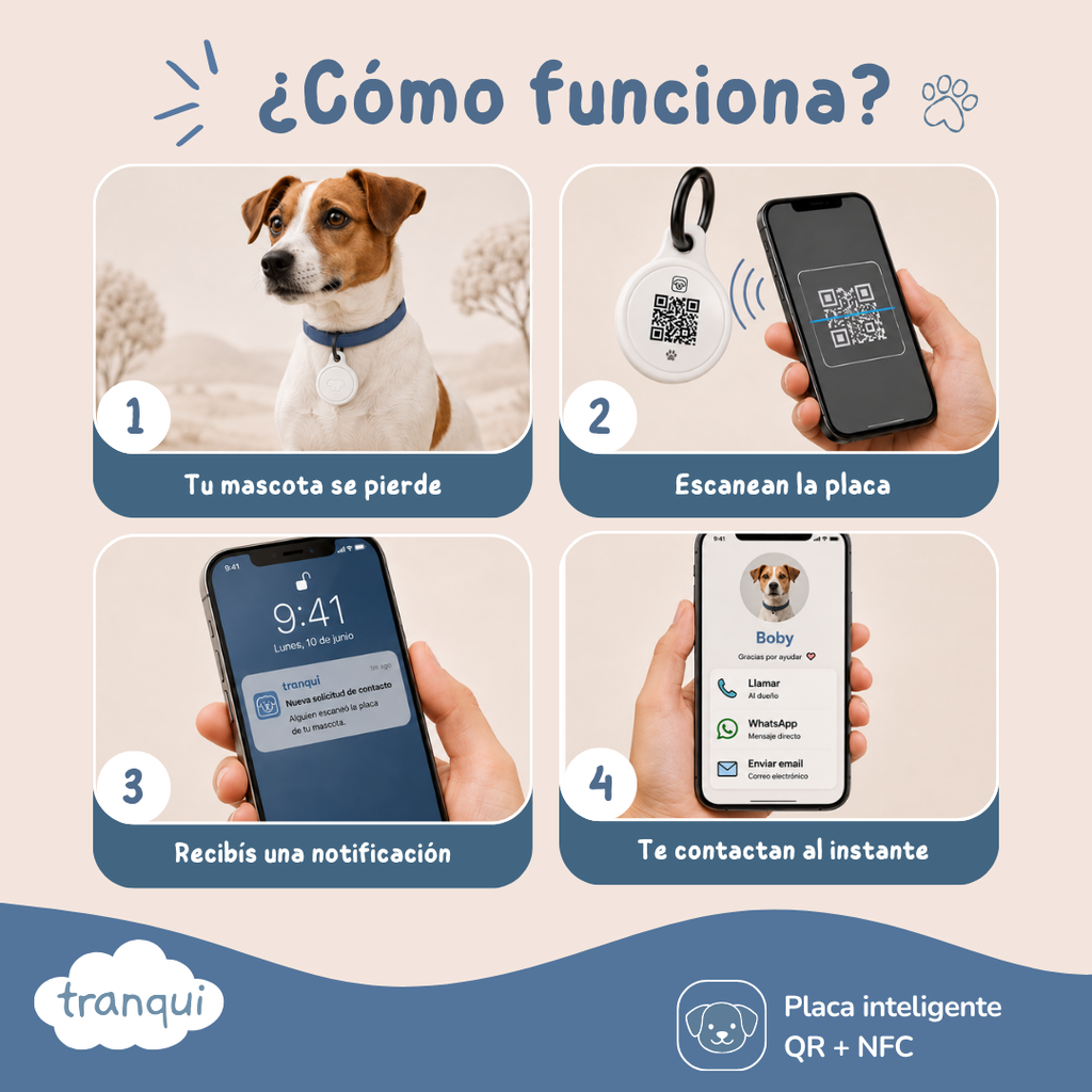 Chapa Qr