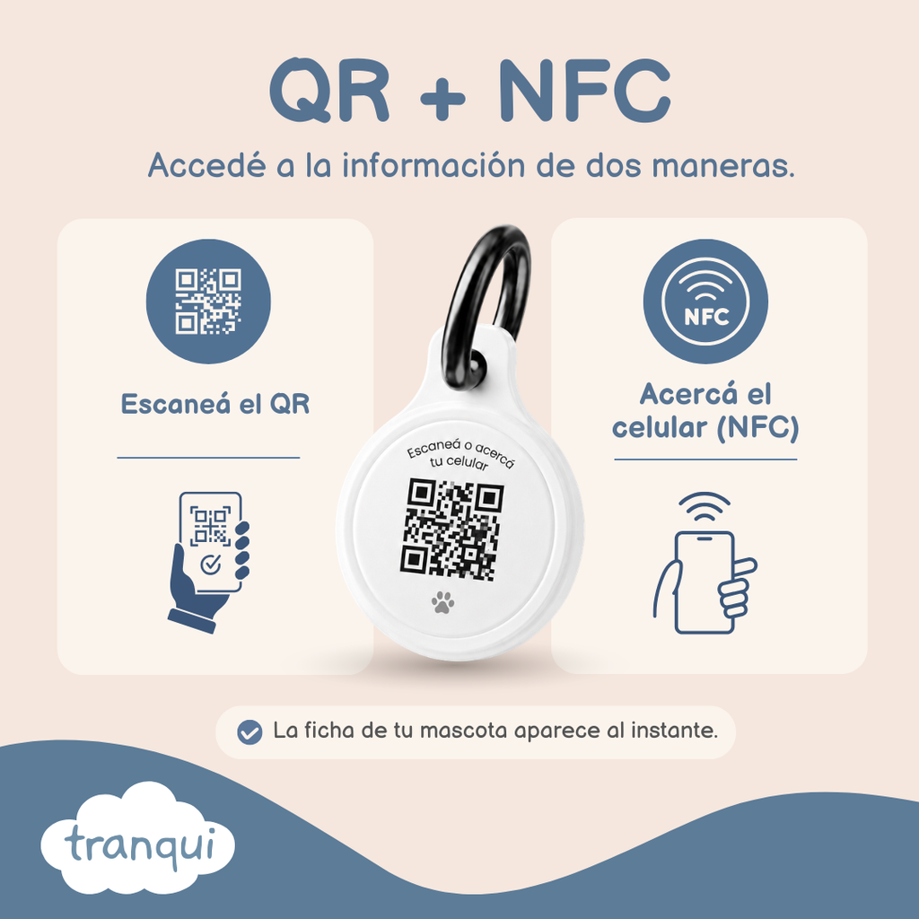 Chapa Qr