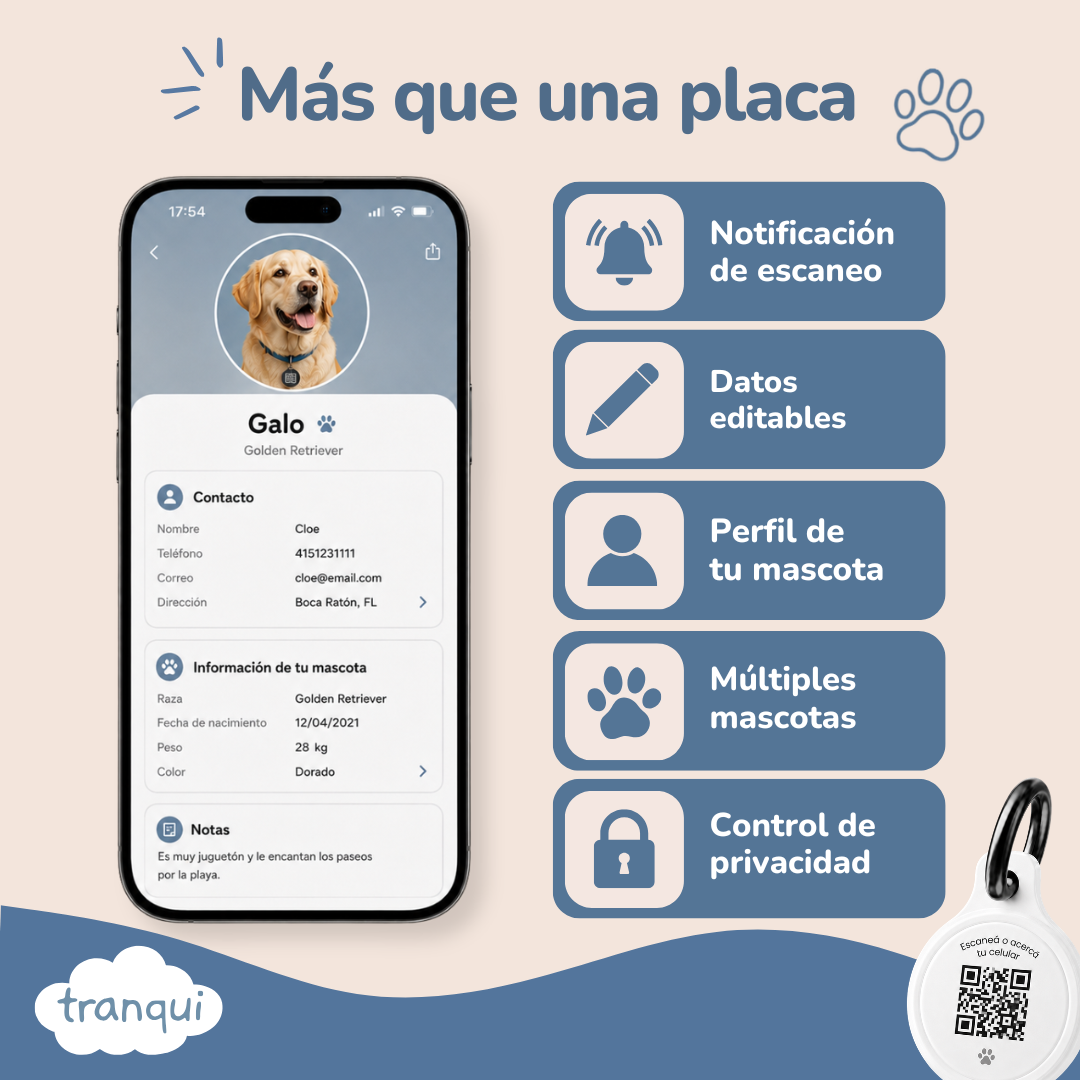 Chapa Qr