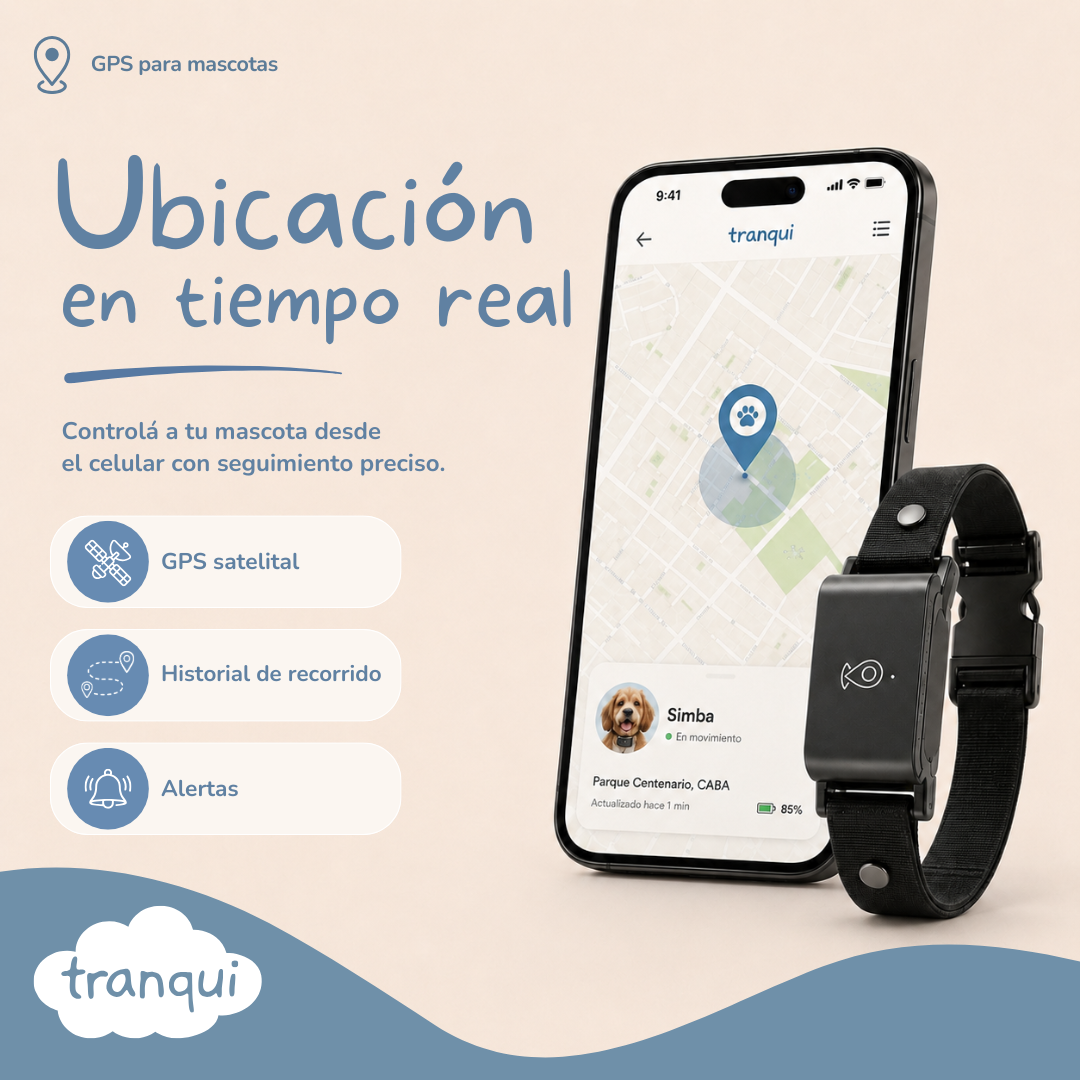 GPS satelital