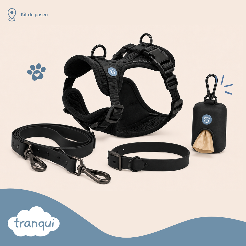 Kit paseo completo
