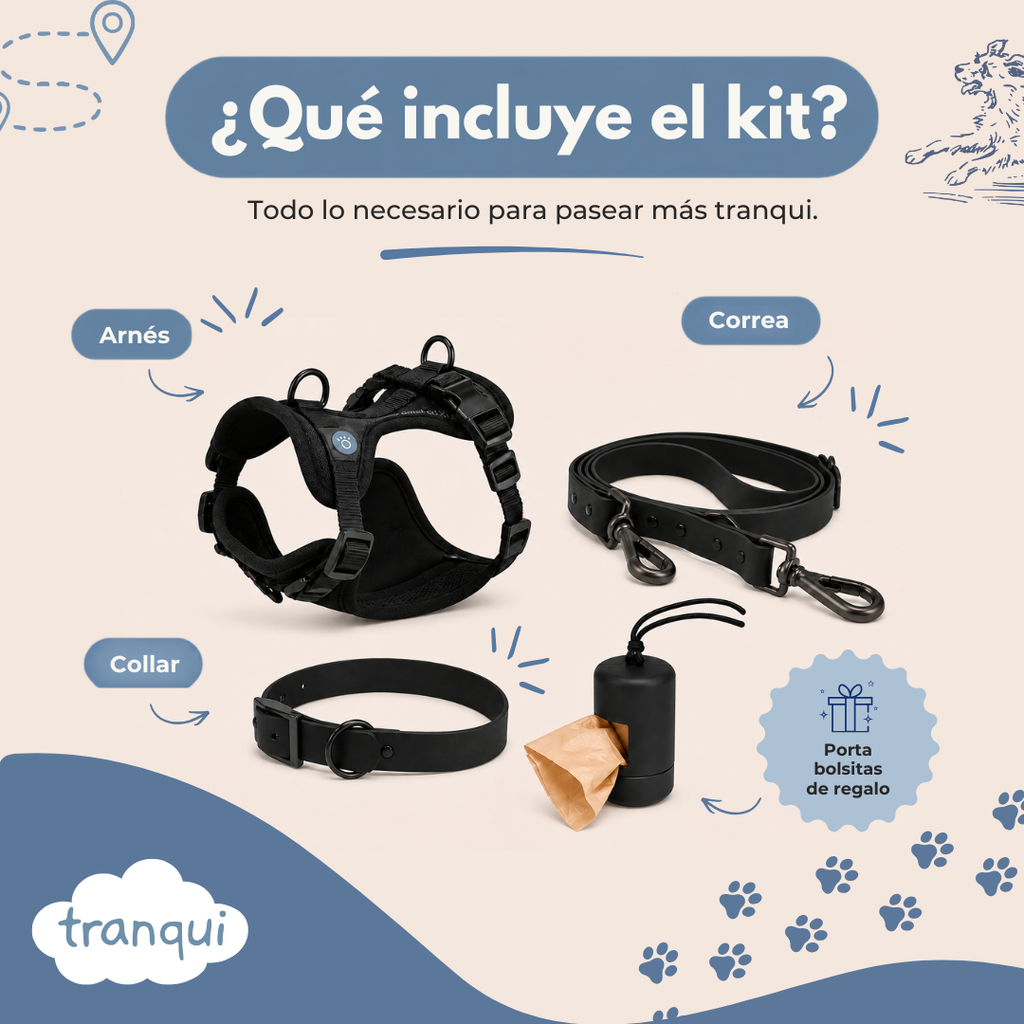 Kit paseo completo