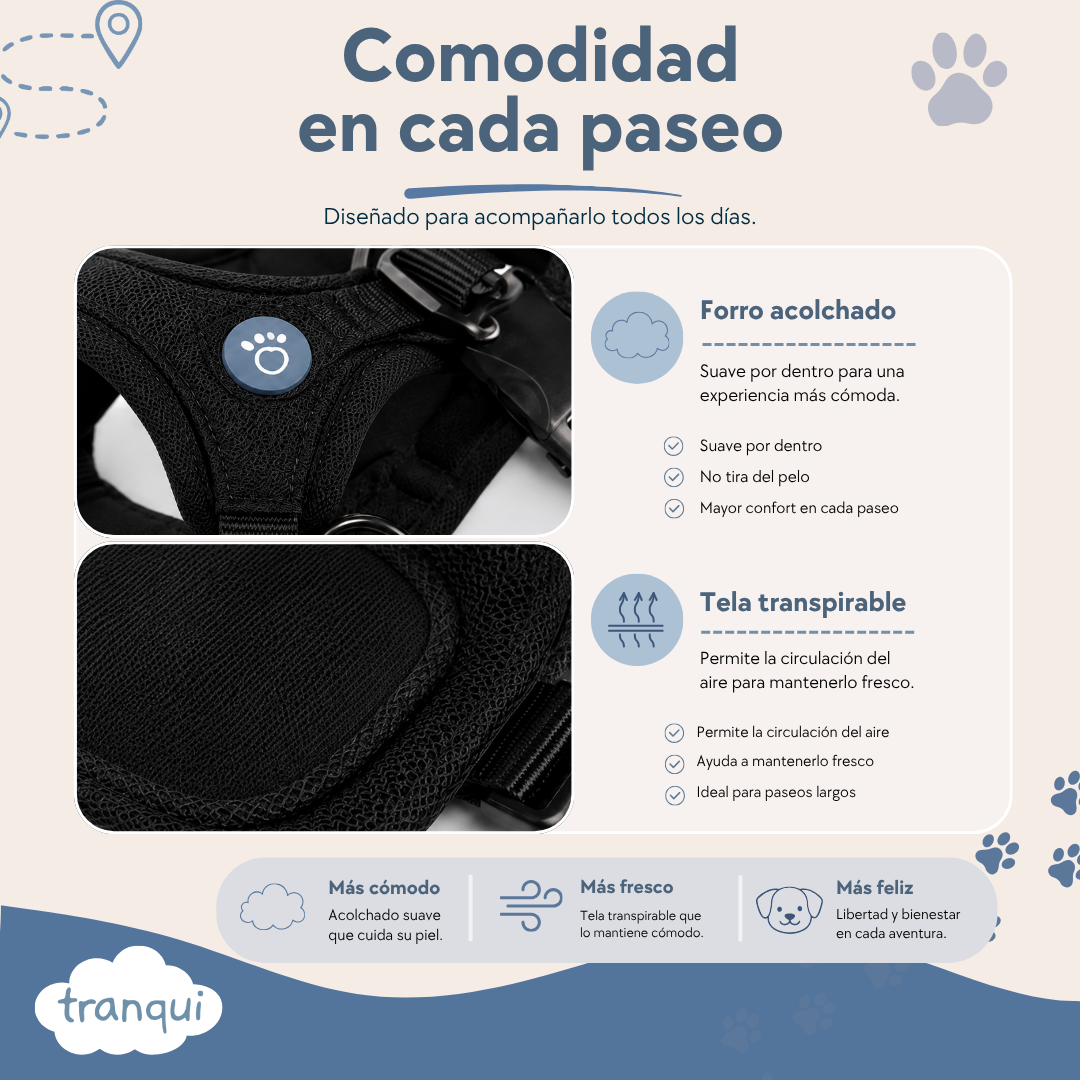 Kit paseo completo