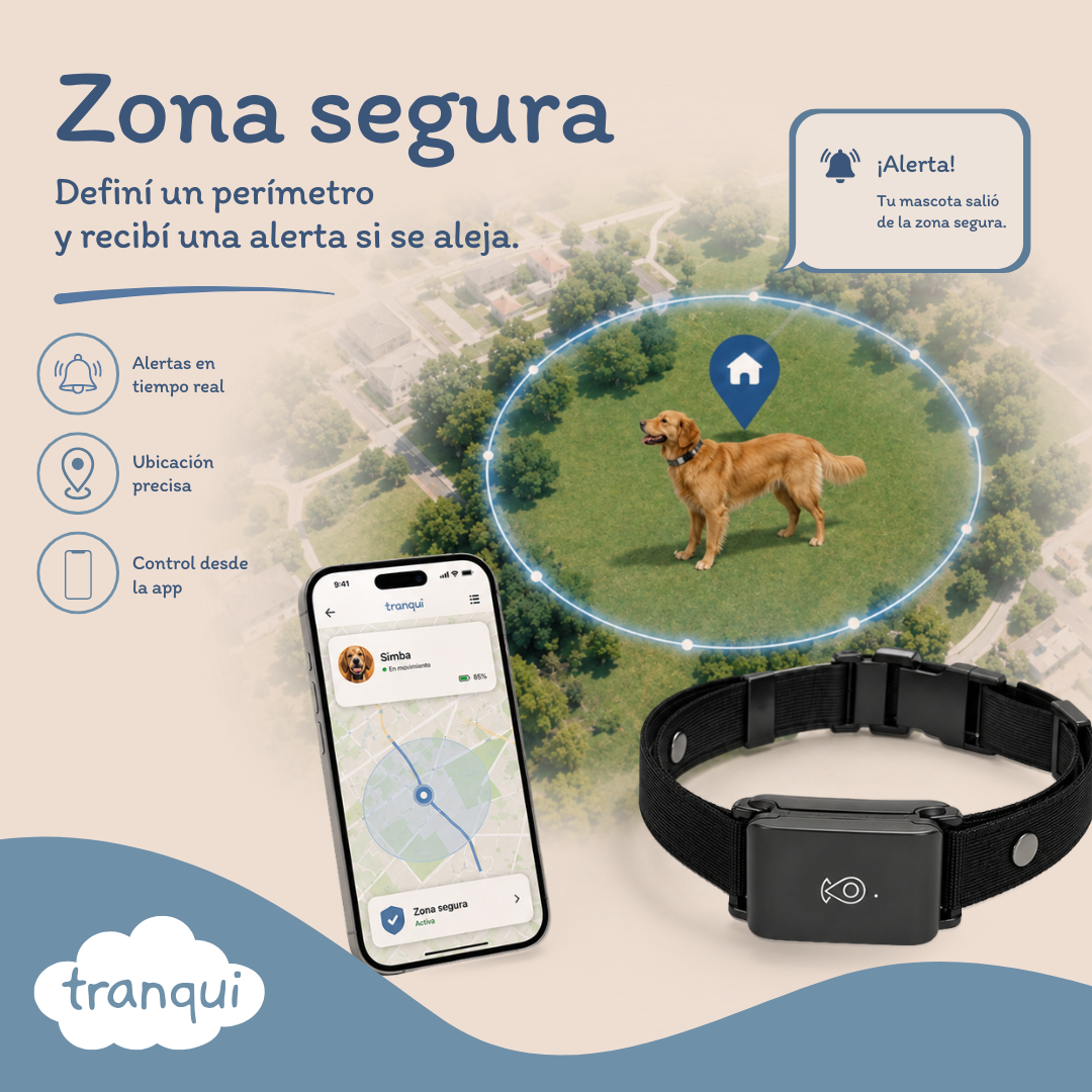 GPS satelital