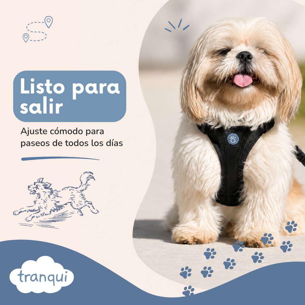 Kit paseo completo