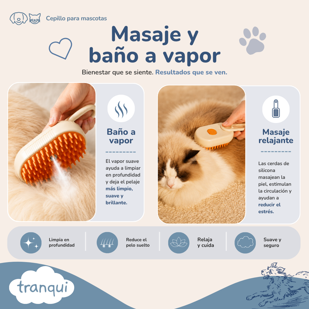 Cepillo a vapor