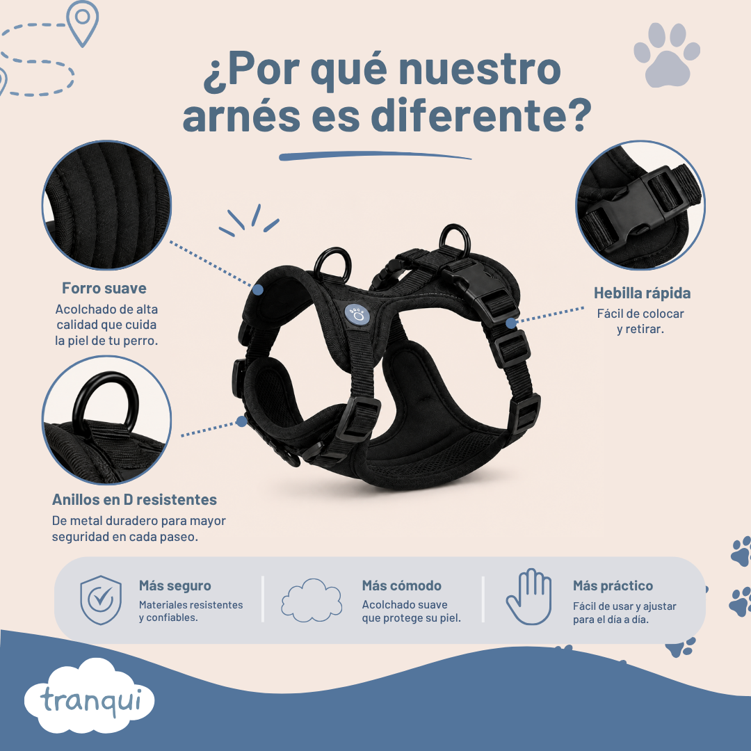 Kit paseo completo