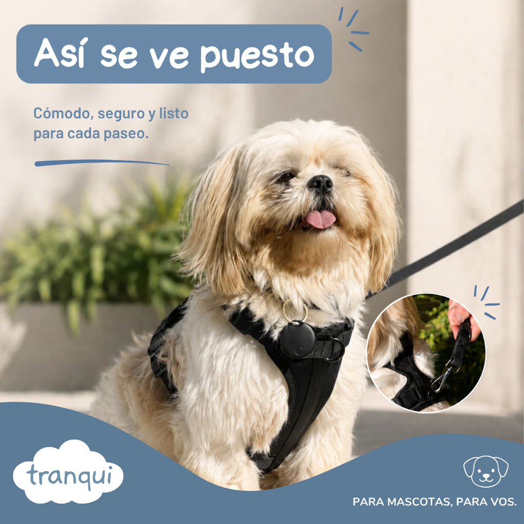 Kit paseo completo