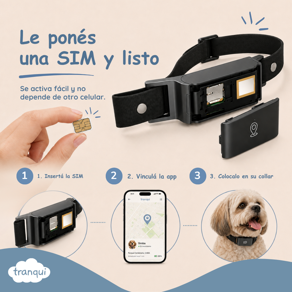 GPS satelital