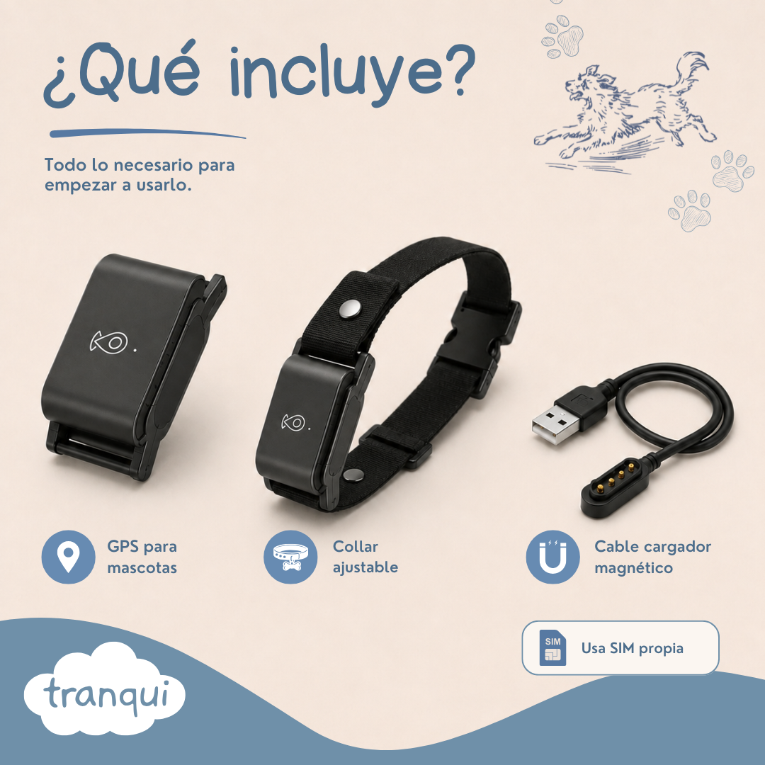 GPS satelital