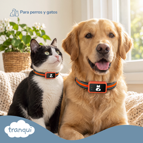 Collar Localizador de Mascotas